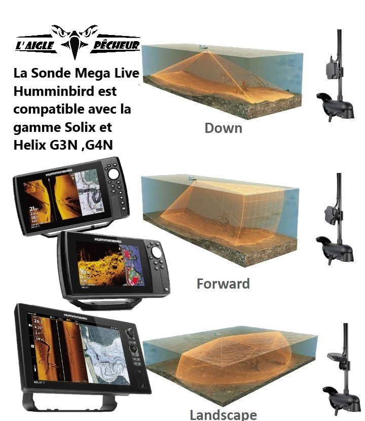 Sonde Mega Live Imaging - Module live Humminbird - Sondeurs Humminbird -  Aigle Pêcheur - Sonde Mega Live Imaging - Module live Humminbird - Sondeurs  Humminbird - Aigle Pêcheur - Sonde Mega