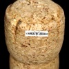 peche-les-nymphes-du-jura-simple-jura-n-25