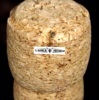 peche-les-nymphes-du-jura-simple-jura-n-28