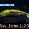 peche-leurres-durs-differentes-marques-shimano-yasei-soul-swim-s-23cm