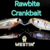 peche-leurres-westin-leurre-westin-rawbite