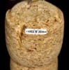 peche-nymphes-coregone-double-du-jura-nymphe-double-jura-n-21