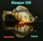 peche-ultimate-fishing-leurres-et-balam-leurre-megabass-sleeper-gill